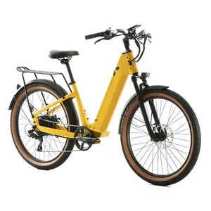 2022 heiß verkaufte Neuankömmling Mode elektrische Stadt fahrrad, 250w 36V CE genehmigen Elektro fahrrad, Brush less Motor City Bike Fahrrad