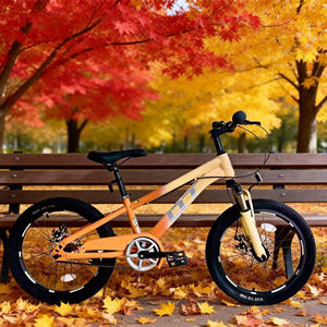 Vélo d'entraînement pour enfants Hebei HyPod modèle 20, pour garçon de 14 ans, <span class=keywords><strong>BMX</strong></span>, vélo de rue, vélo pour enfants - Product Image 5