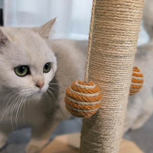 向日葵猫抓挠柱剑麻猫爪抓挠杆花转盘玩具猫树家具 - Product Image 4