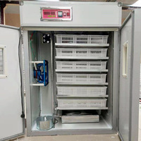 Nouvelle couveuse solaire automatique pour œufs de poule, taux d'éclosion de 90 %, en acier inoxydable, 220 V, pour oies, autruches, canards