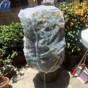 Housse <span class=keywords><strong>de</strong></span> protection pour fruits personnalisée, <span class=keywords><strong>papaye</strong></span>, grande maille anti-insectes, filet pour arbres fruitiers, sacs en filet, grande barrière, sac en PP Leno pour fruits - Product Image 6