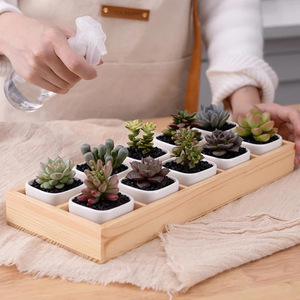 Boîtes de rangement pour plantes succulentes en gros, boîtes en bois multi-compartiments pour plantes d'intérieur, plateaux en bois pour plantes vertes et fleurs. - Product Image 2