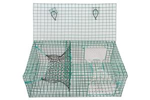 Trampa de langosta de red de hierro con malla de alambre Material de monofilamento de tamaño de malla de 36 ''y 48'' Marca MAXFISHING - Product Image 3