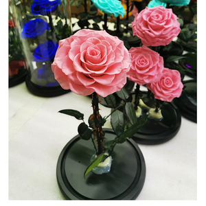 Di alta qualità rosa eterna fiore conservato rosa in vaso di vetro della cupola di copertura con regalo - Product Image 3