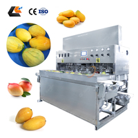 Offre Spéciale : Équipement de pelage et de découpe de mangues, Éplucheur de graines de citrouille, Éplucheur électrique de fruits à coque, Ligne de pelage et de découpe de mangues