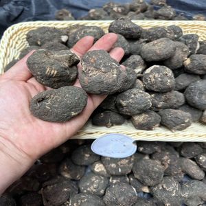 シングルヘルシーハーバルブラックプールデグロスフェスバットカーブマカプラスマカX男性ネイチャーハーブマカ根を集中 - Product Image 3