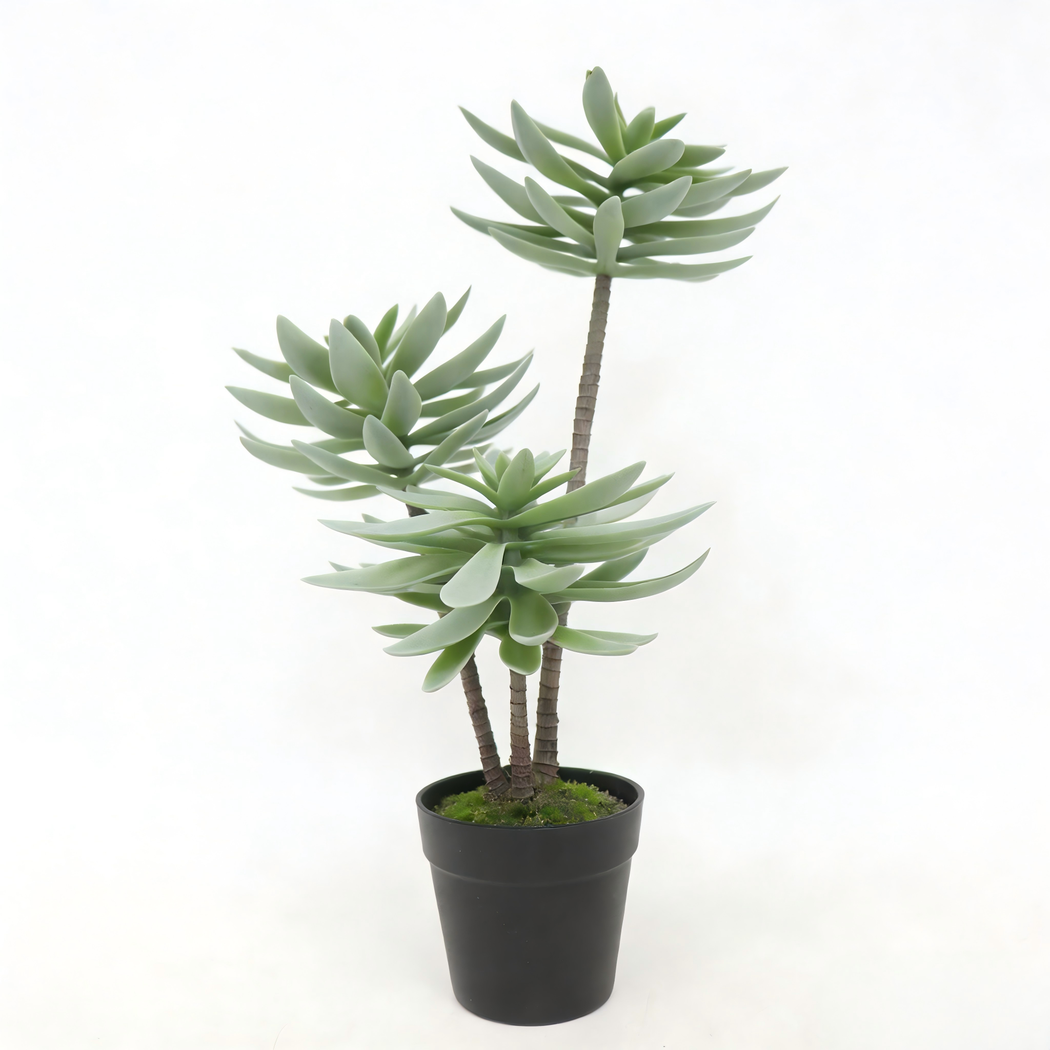 สีเขียว