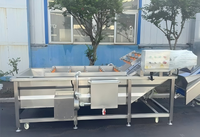 Kleine aardbeienjam productielijn, bessenjam maakmachine, jamkookmachine