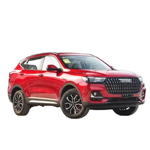 Great Wall Haval H6 HS6 H9 Changcheng 2024 5 Door 5 Seats SUV Flagship 2.0t Displacement Gasoline Hot sale In China