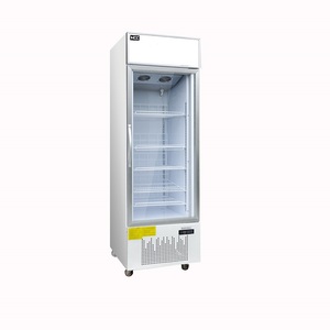 業務用アイスクリームディスプレイ縦型ショーケースガラス扉付き冷凍庫（-18~-22℃単温度） - Product Image 6