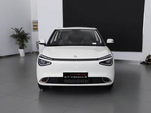 Gran oferta de coche eléctrico puro de tamaño pequeño para adultos, Nano 01 Lite con pantalla de Control Central, vehículo de nueva energía - Product Image 6