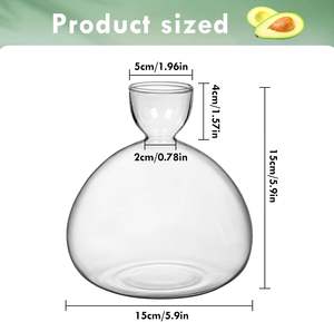 Jarrón grande y moderno con bombilla de cristal transparente para interiores, <span class=keywords><strong>maceta</strong></span> hidropónica para macetas para amantes de la jardinería, florero de semillas de bellota, <span class=keywords><strong>aguacate</strong></span> - Product Image 2