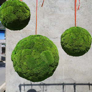 Installation artistique suspendue en bambou avec boules <span class=keywords><strong>de</strong></span> mousse éternelle, décoration végétale sphérique pour intérieur, idéale pour les centres commerciaux et l'aménagement paysager - Product Image 3