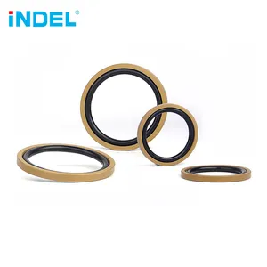 Senang Cincin BSF PTFE Piston Hidrolik Seal untuk Semua Jenis Silinder