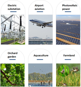 Ai Thông Minh Chim Không Thấm Chim Điều Khiển Màu Xanh Lá Cây Laser Thích Hợp Cho Trạm Sửa Chữa Đất Nông Trại Vườn Để Giữ Cho Chim Chim Bồ câu Dơi Đi - Product Image 6