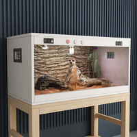 Boîte de chauffage à température constante pour terrarium de reptiles, idéale pour la tortue jaune de Chine, le dragon barbu et le serpent de maïs