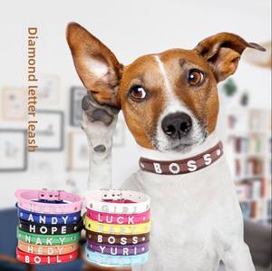 Elegante <span class=keywords><strong>Collar</strong></span> Personalizado de Cuero PU para Perro con Nombre Personalizado, Letras, Diamantes de Imitación y Accesorios Reflectantes - Product Image 2
