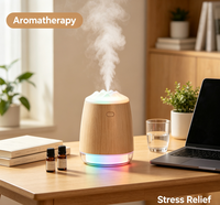Humidificateur USB Mini pour Voiture, Vente Chaude, Approvisionnement Direct Usine, Grande Brume, Veilleuse Colorée, Aromathérapie, Certifié ROHS, 280ML