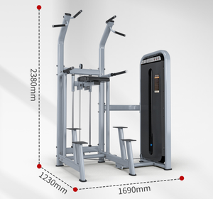 Máquina de Dominadas Asistidas Comercial con Logotipo Personalizado OEM ODM, Directo de Fábrica para Gimnasios, Estudios y Clubes - Product Image 1