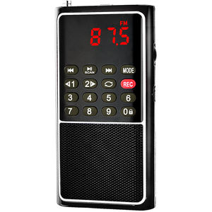 Radio FM portátil L-338 OEM de fábrica, reproductor MP3, grabadora de voz, pantalla LED, altavoz incorporado, tamaño de bolsillo, recargable por USB, de plástico. - Product Image 1