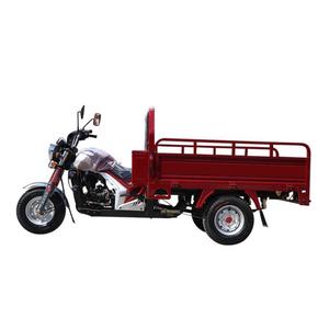Motocicleta Triciclo Motorizada para Adultos con Capacidad de Carga de 400 kg y Velocidad de 65 km/h - Product Image 3