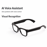 Lunettes de traduction IA T100 : Interprétation simultanée, traduction conversationnelle, procès-verbaux de réunions, appels audio et vidéo, stockage 8 Go