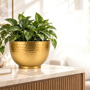 Pot de fleurs rond en laiton martelé moderne pour plantes vertes d'intérieur - Product Image 3