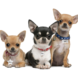 Custom <b>Engraved</b> Stainless Steel Pet ID <b>Tags</b> Corrosion-Resistant for <b>Dogs</b> and Cats - Product Image 2