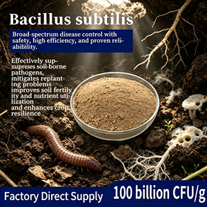 Polvo de Bacillus Subtilis 100 Mil Millones de UFC/g Fertilizante <span class=keywords><strong>Biológico</strong></span> para Agricultura y Mejora del Suelo - Product Image 1