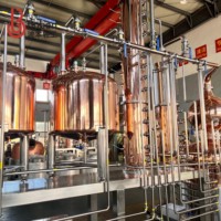 Alambic en cuivre Boben de 250 gallons, distillateur commercial à colonne pour la fabrication de spiritueux