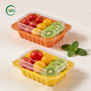 Boîtes à fruits en plastique PET en gros pour supermarchés et épiceries, économiques et rentables - Product Image 5