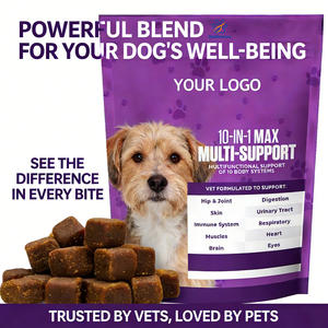 OEM/ODM 10 en 1 MAX Complément multivitaminé à mâcher pour chien avec glucosamine, MSM et probiotiques, supplément multivitaminé quotidien à mâcher pour animaux de compagnie - Product Image 6