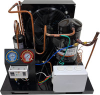 10HP unité de condensation congélateur réfrigération stockage Walk in CoolerEvaporative air CooledCooling condenseur d'échange de chaleur R290/380V