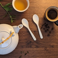 Couverts à dessert compostables en CPLA (couteau/fourchette/cuillère/spork) pour café/gâteau, logo et couleurs personnalisés, certifiés DIN/BPI/OK