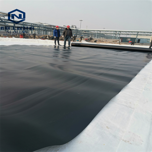 Modern 1.5mm HDPE Geomembrane Liner Ponds Aquaculture Environmentally Friendly Plastic PVC EPDM LLDPE Dam Liner Nuolian