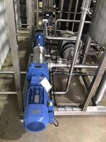 Pompe à vis simple en acier inoxydable 304 316L de qualité alimentaire - Haute viscosité pour le traitement de l'eau potable, le transfert de boues, de jus et de pulpe