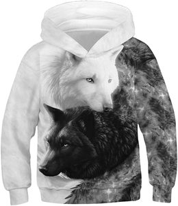 Fitspi – sweat-shirt à capuche pour hommes, adolescents, garçons, femmes, filles, sweat-shirt imprimé 3d, survêtement, vente en gros, livraison directe - Product Image 4