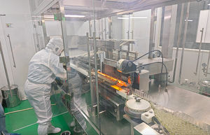 プライベートブランド500ピルビタミン栄養サプリメントピジョンレーシングペットヘルスケア & サプリメント - Product Image 4