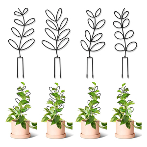 Forma di foglia traliccio pianta per arrampicata pianta d'<span class=keywords><strong>appartamento</strong></span> <span class=keywords><strong>in</strong></span> metallo <span class=keywords><strong>da</strong></span> giardino traliccio palo di filo per pianta <span class=keywords><strong>in</strong></span> <span class=keywords><strong>vaso</strong></span> pianta d'<span class=keywords><strong>appartamento</strong></span> - Product Image 1