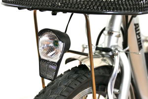 Triciclo Elettrico 36V 20 Pollici 250W <span class=keywords><strong>Bici</strong></span> <span class=keywords><strong>Elettrica</strong></span> a 3 Ruote <span class=keywords><strong>con</strong></span> Cesto (EB01) - Product Image 4