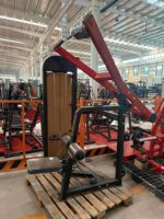 Machine Commerciale de Pulldown Inversé Cheernin à Charge par Poids pour Isolation du Dos
