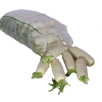 Sacs tissés robustes transparents à bords colorés - Idéaux pour les légumes de ferme, les carottes et les produits frais