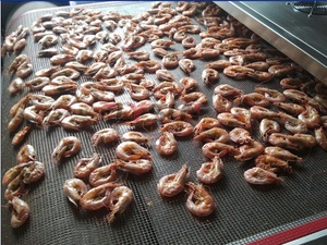 Flyshun เครื่องอบแห้งอาหารแบบใช้ไมโครเวฟเครื่องอบแห้งแบบอุโมงค์สำหรับสายพานลำเลียงกุ้ง - Product Image 3