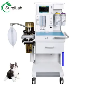 Factory Price High Quality Veterinary Anesthesia Machine For Clinical Hospital Veterinary Equipment