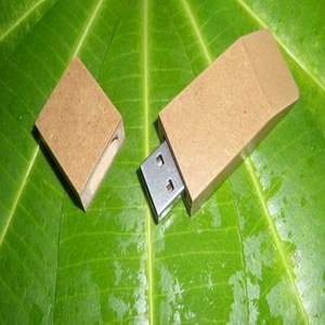 <span class=keywords><strong>Chiavetta</strong></span> USB Ecologica in Legno Biodegradabile 8GB con Garanzia di 5 Anni, USB 2.0, Interfaccia Wi-Fi; Promozionale Aziendale - Product Image 3