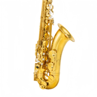 Profesional Bb Tenor Saxophone Gold Lacquer Surface Brass Body B-flat Bakelite Mouthpiece Woodwind Instruments with Accessories