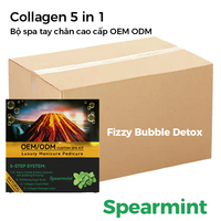 Système de pédicure à bulles pétillantes à la menthe fraîche, personnalisation ODM complète, ensemble de 5 étapes, kit de pédicure professionnel pour salon, ensemble de soins des pieds