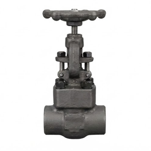 Válvula de Globo de Acero al Carbono Forjado 800LB con Diseño de Husillo Ascendente, Válvula de Control NPT BSPP para Soldadura por Enchufe - Product Image 1