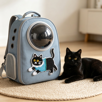 Patchs brodés animaux mignons (chats) thermocollants ou à coudre, appliques personnalisées OEM pour animaux de compagnie, vente en gros en vrac pour vêtements, sacs, jeans