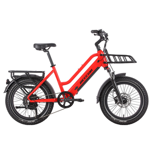 Bicicleta de Montaña Eléctrica Usada China con Motor RSD-EB-S20 / Bicicleta con Motor / Bicicletas Motorizadas Eléctricas / Mejores Bicicletas Eléctricas - Product Image 1